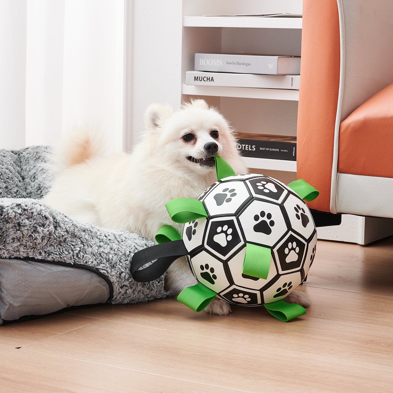 jouet ballon pour chien