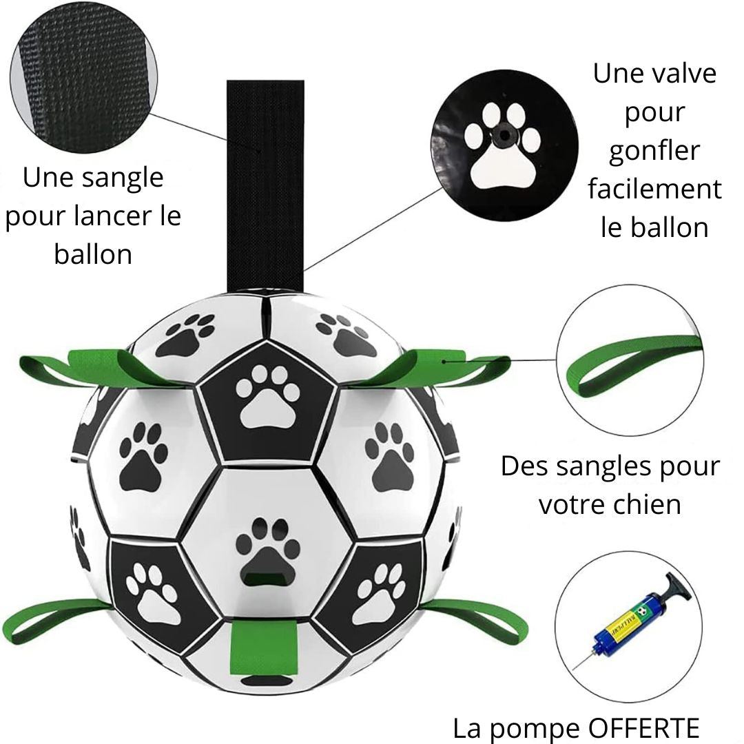 ballon durable pour chien