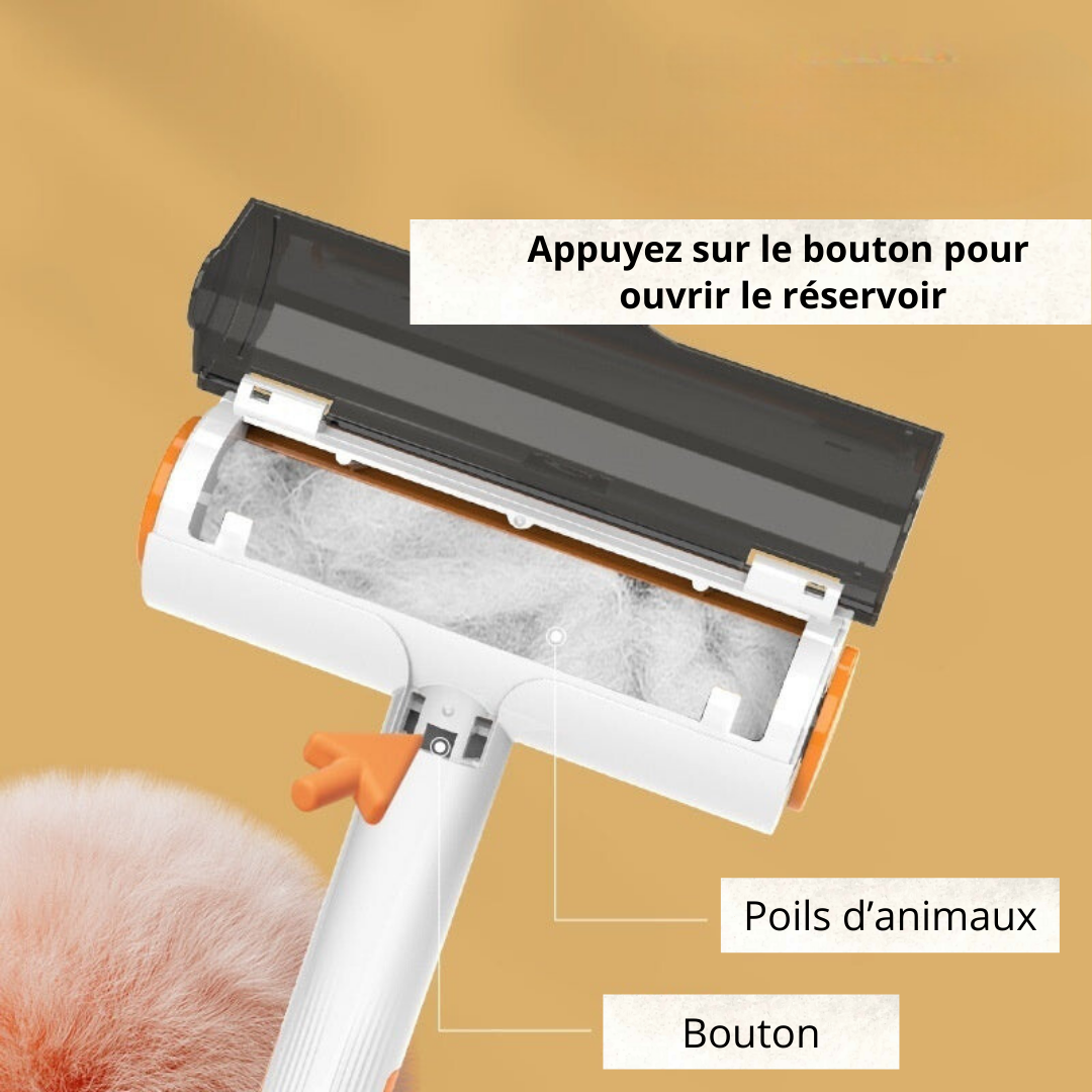 Brosse "Felicity"