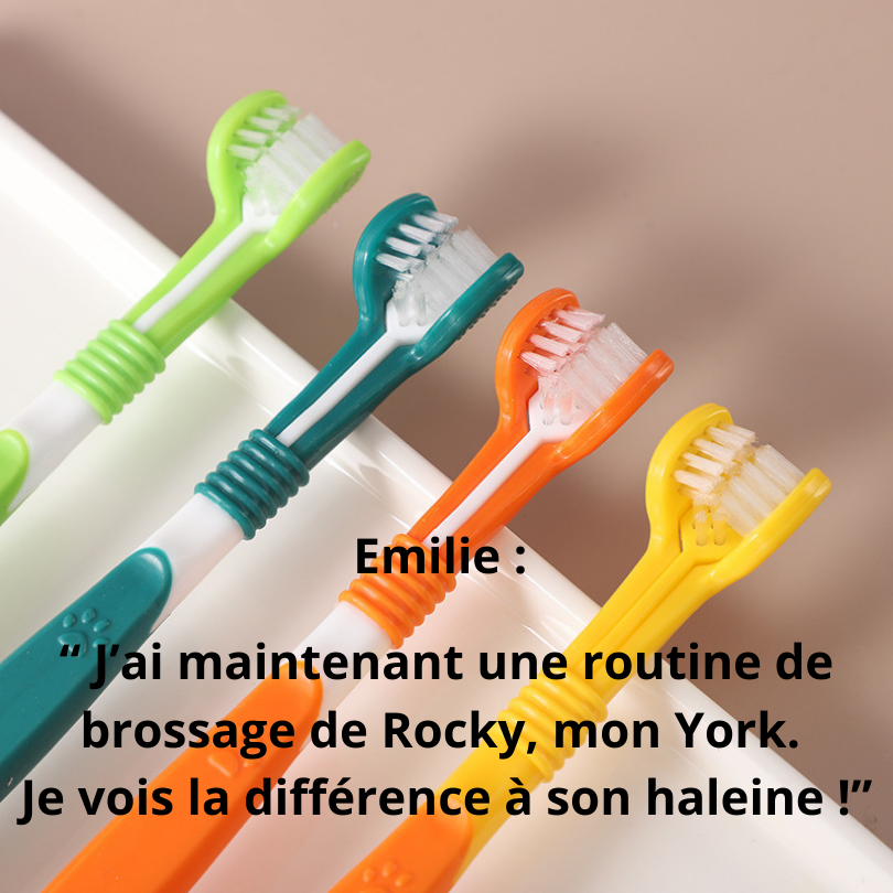 Brosse à dents Tri-force