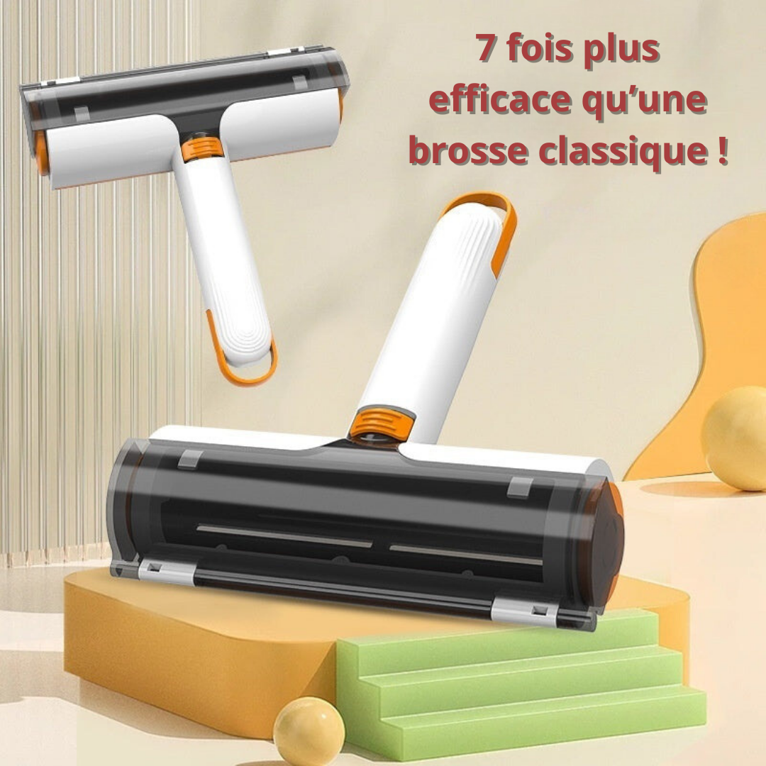 Brosse "Felicity"