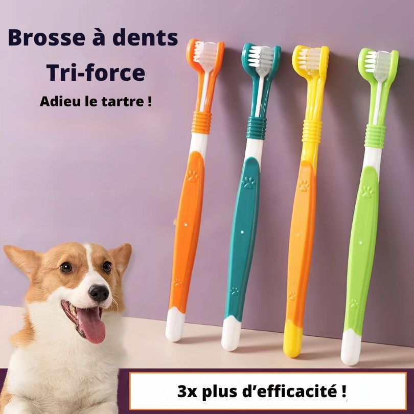 Brosse à dents Tri-force