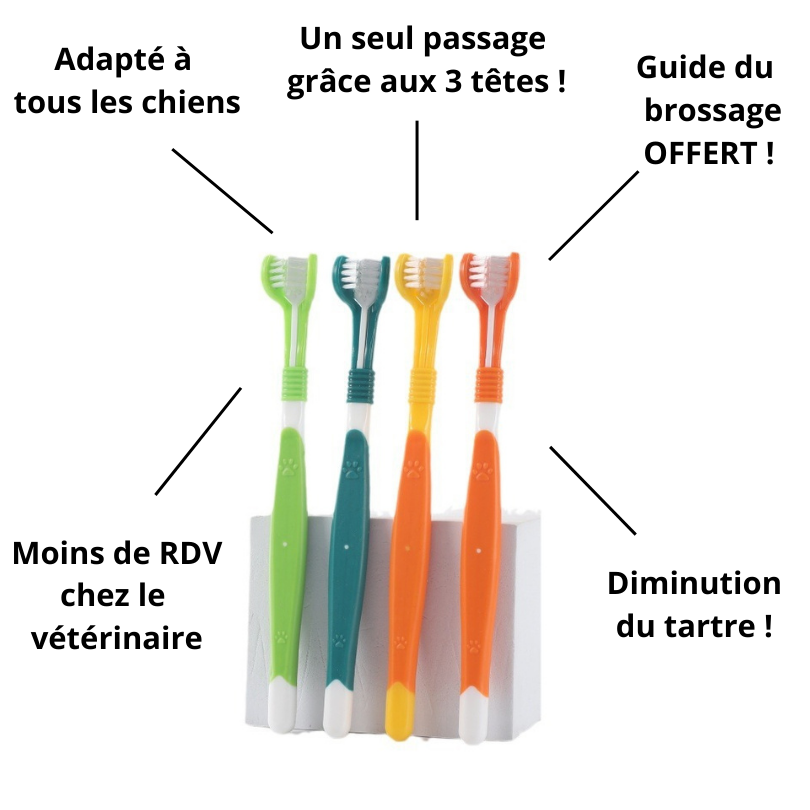 Brosse à dents Tri-force