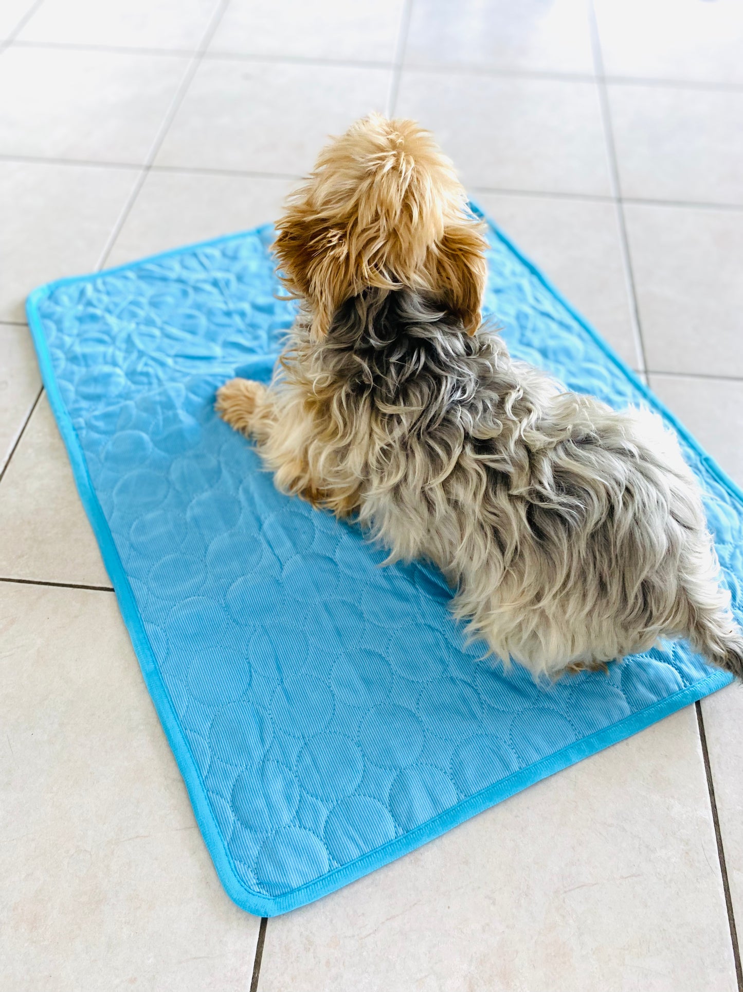 Tapis rafraîchissant "Freshdog" pour chien et chat