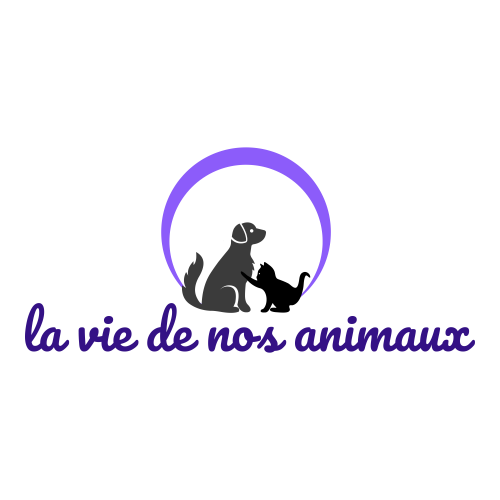Boutique de vêtements et accessoires pour chien la vie de nos animaux