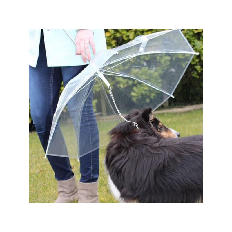 Parapluie pour chien