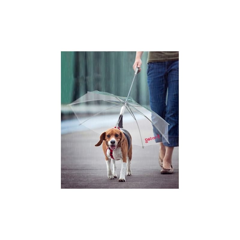 Parapluie pour chien