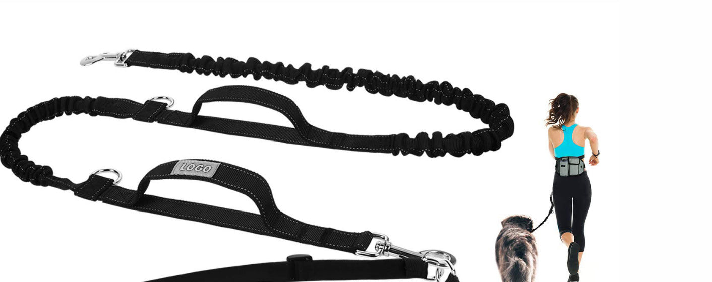 Ceinture de marche - la vie de nos animaux