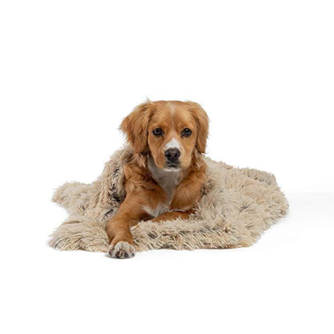 Pet Chien Chat Couvertures - la vie de nos animaux
