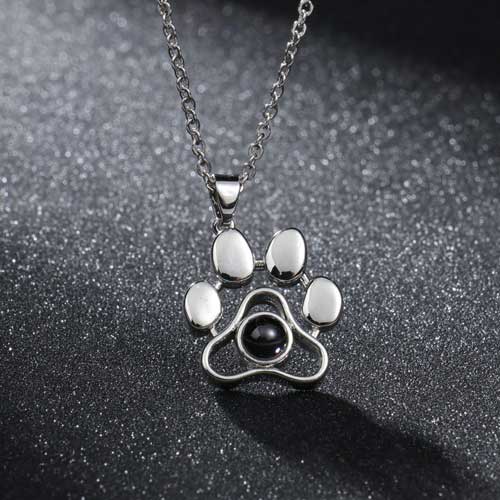 collier souvenir photo chien gris