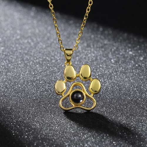 collier photo chien souvenir or