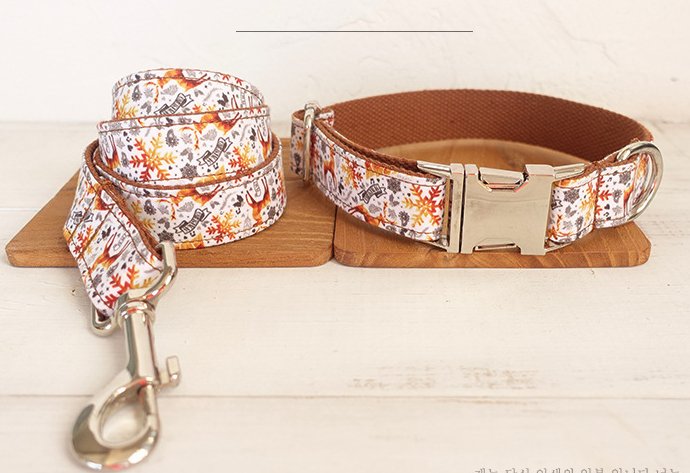 Laisse et collier " Erika " - la vie de nos animaux