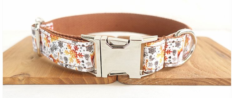 Laisse et collier " Erika " - la vie de nos animaux