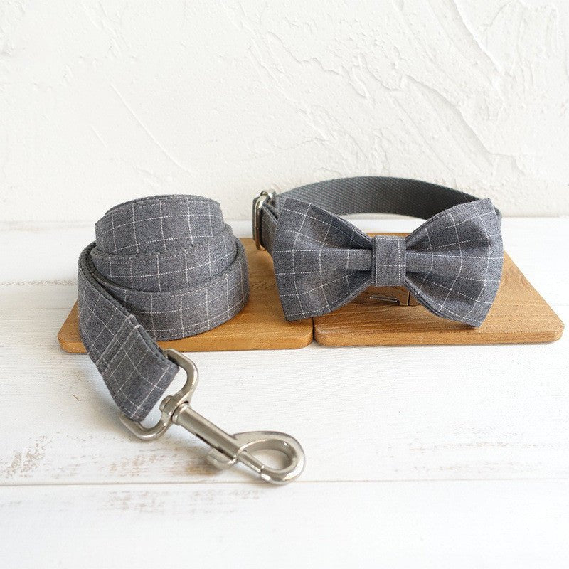 Laisse et collier " Grey " - la vie de nos animaux