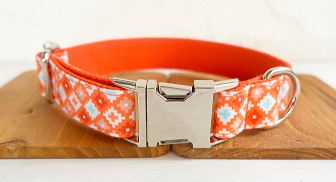 Laisse et collier " Mia " - la vie de nos animaux
