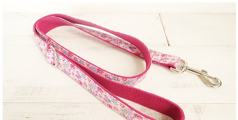 Laisse et collier " Rosa " - la vie de nos animaux