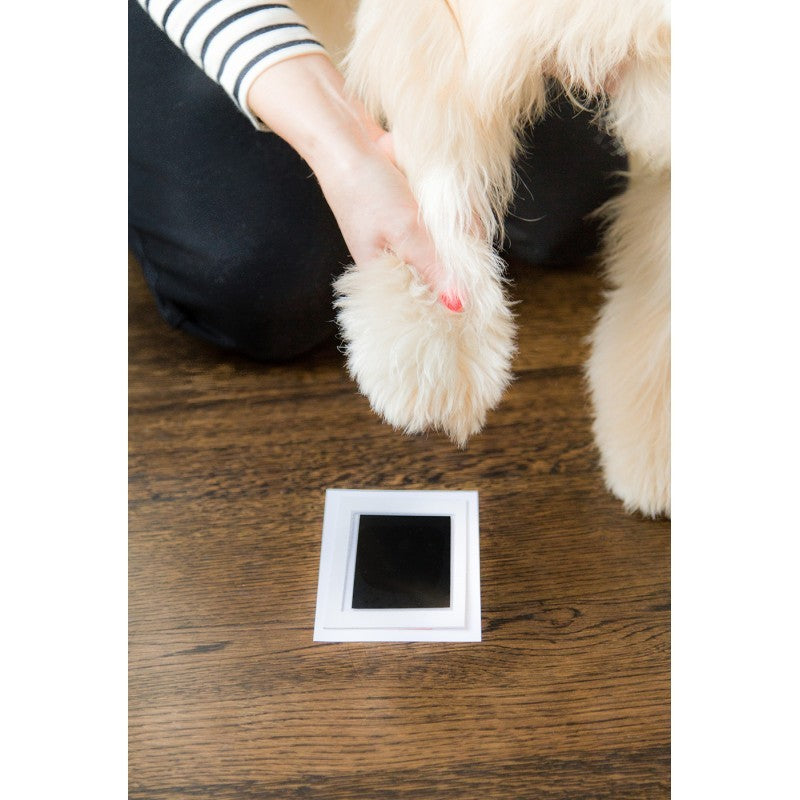 Kit d'empreinte pour chien - la vie de nos animaux