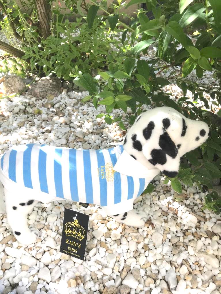 Polo "Sunny" - la vie de nos animaux