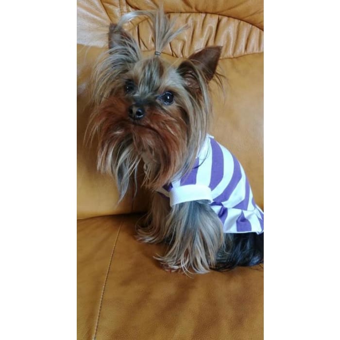Robe polo