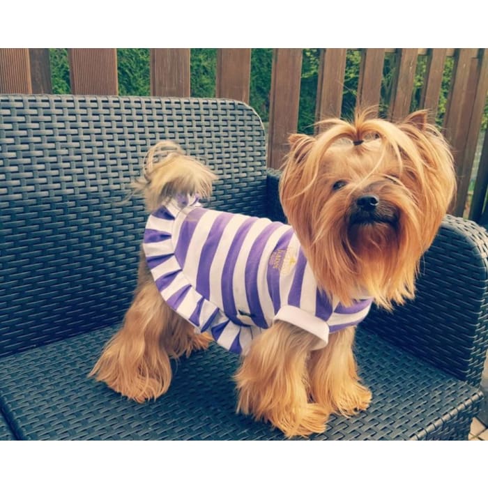 Robe polo