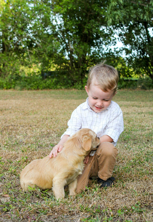 Ce qu'on ne sait pas sur le chien