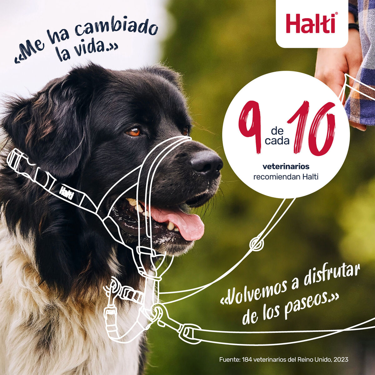 V4H9807DE189F9972D13A3ED946B29EE85CR7523937P5