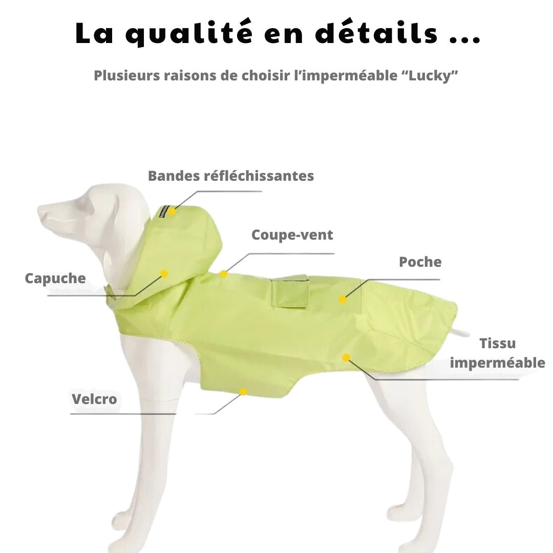 Imperméable " Lucky"