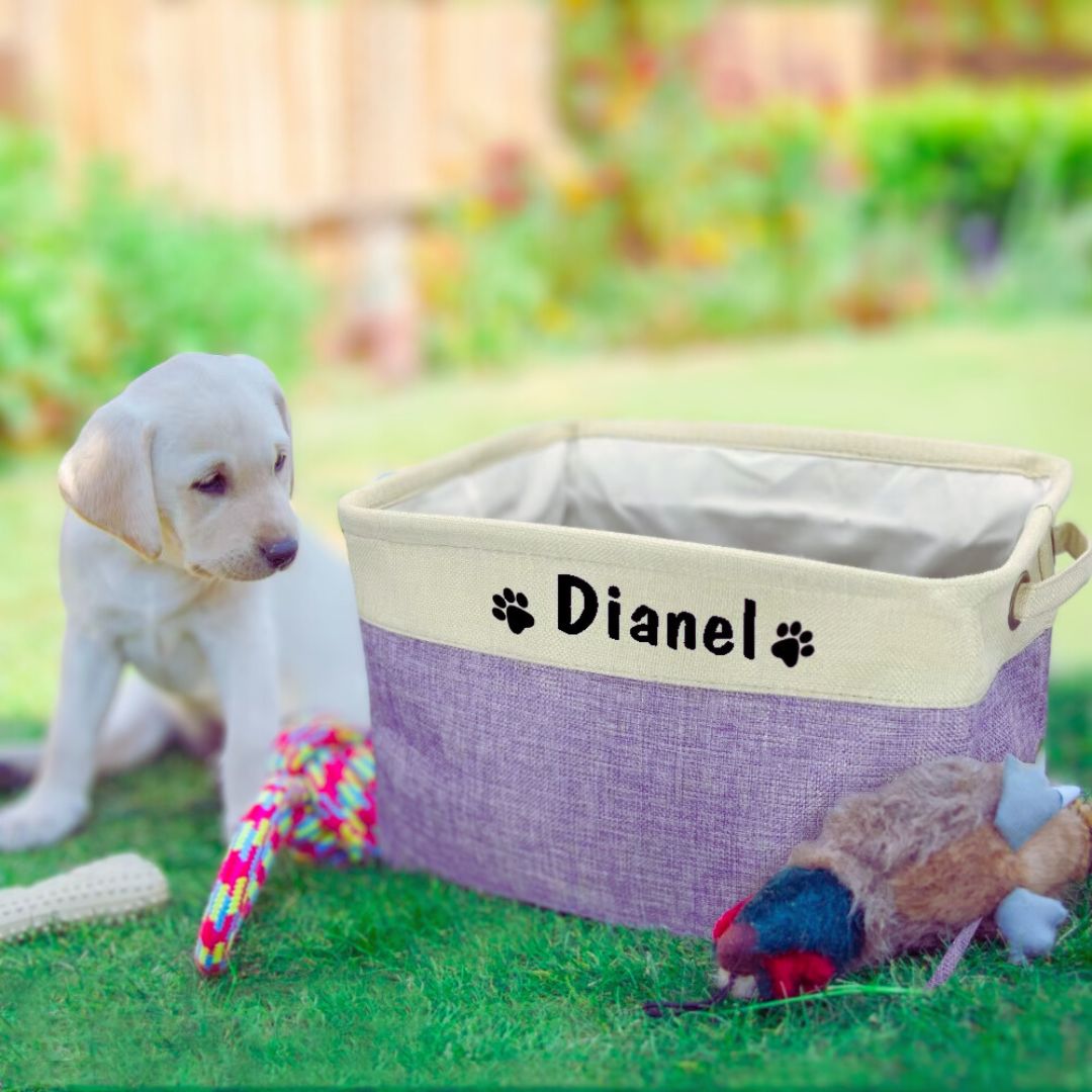 Panier à jouets personnalisé "Megabox" pour chien