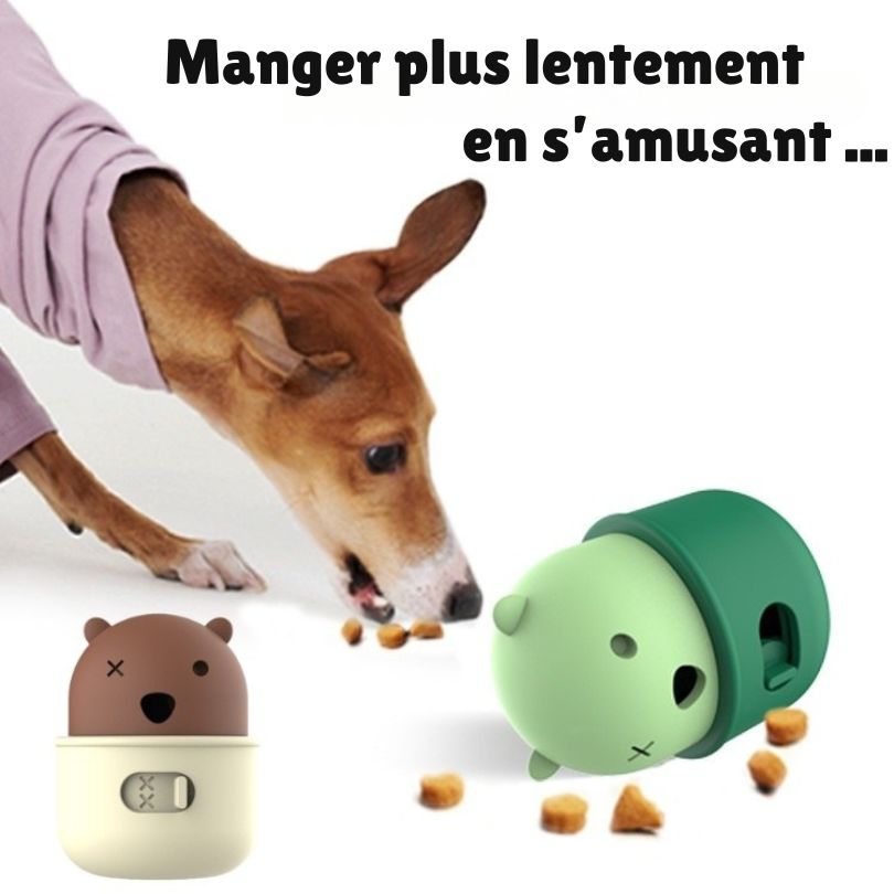 Jouet éducatif "Croq' facile" pour chien