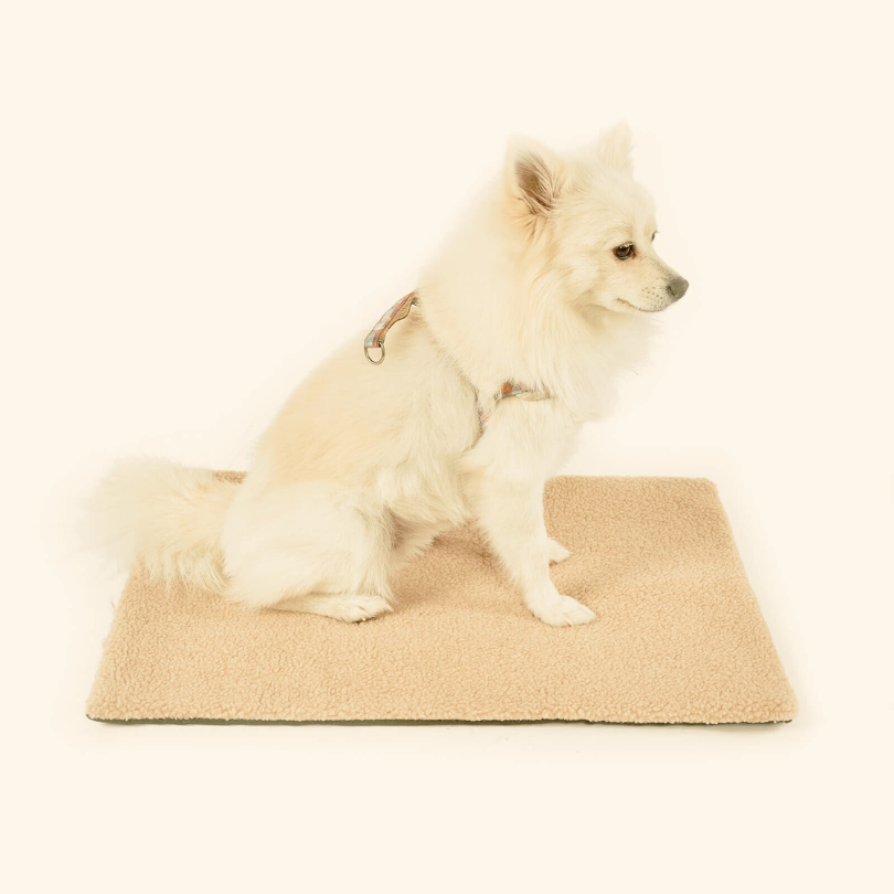 Tapis auto-chauffant naturel déhoussable pour chien et chat