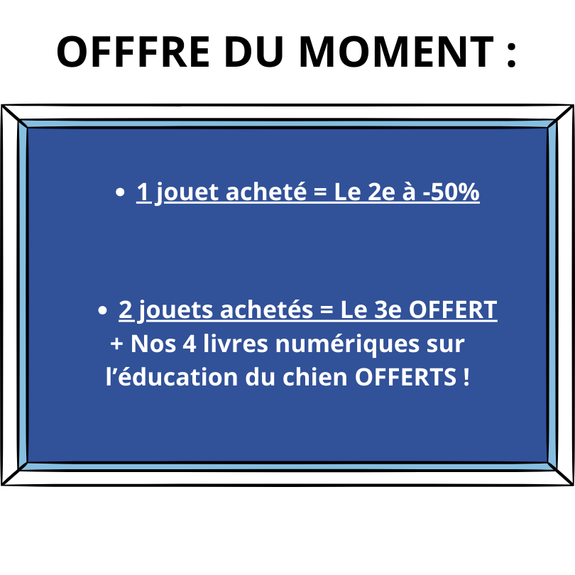 Jouet Denti'Fit pour chien
