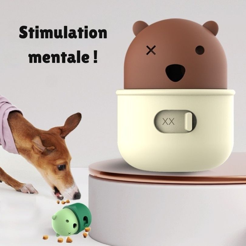 Jouet éducatif "Croq' facile" pour chien