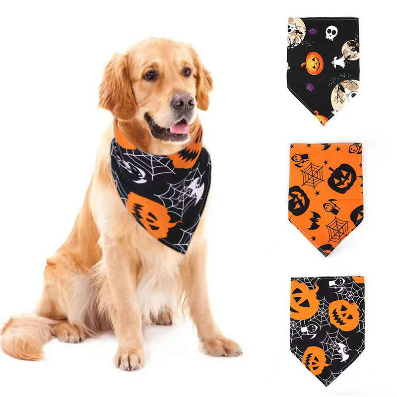 Bandanas citrouille