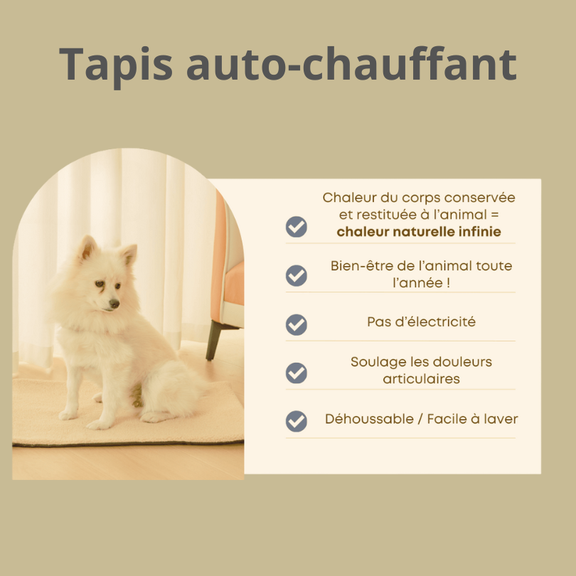 Tapis auto-chauffant naturel déhoussable pour chien et chat