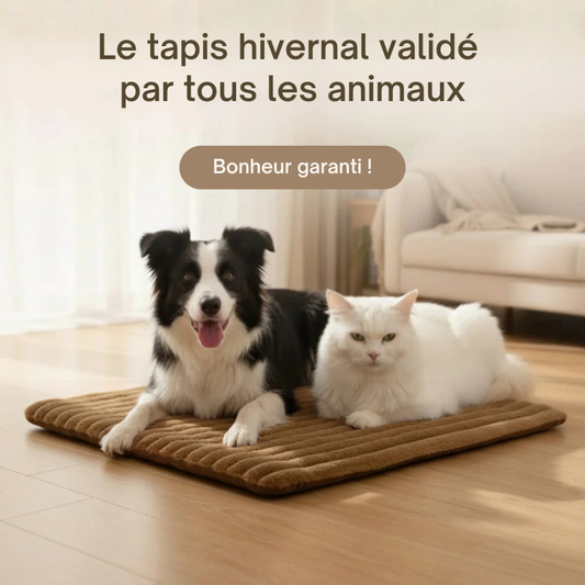 Tapis auto-chauffant ThermoConfort pour chien et chat