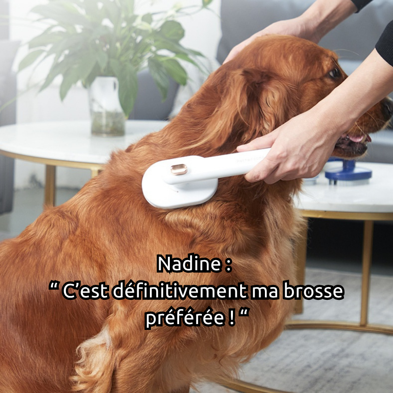 Brosse "Groomi" pour chien et chat