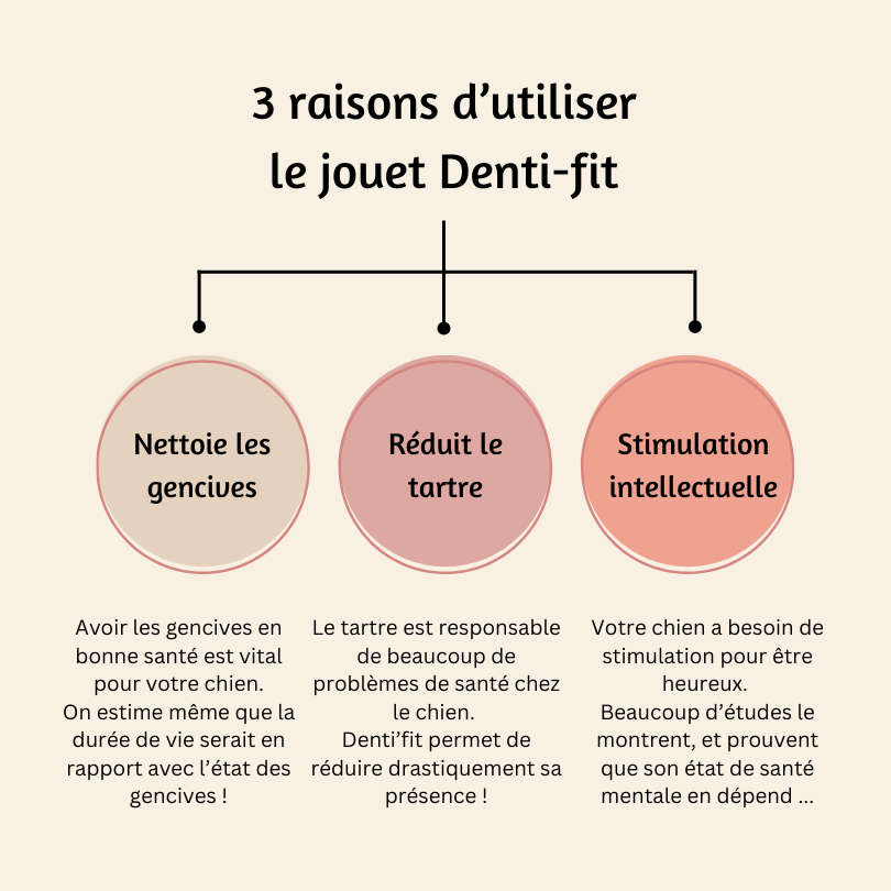Jouet Denti'Fit pour chien