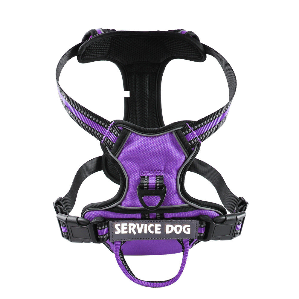 Harnais pour chien personnalisé