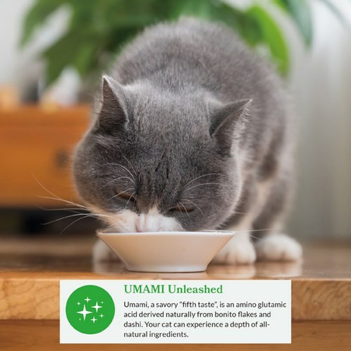 V6H7617C1EF1CDD1866FB273A21F123A3DAR4340012P4