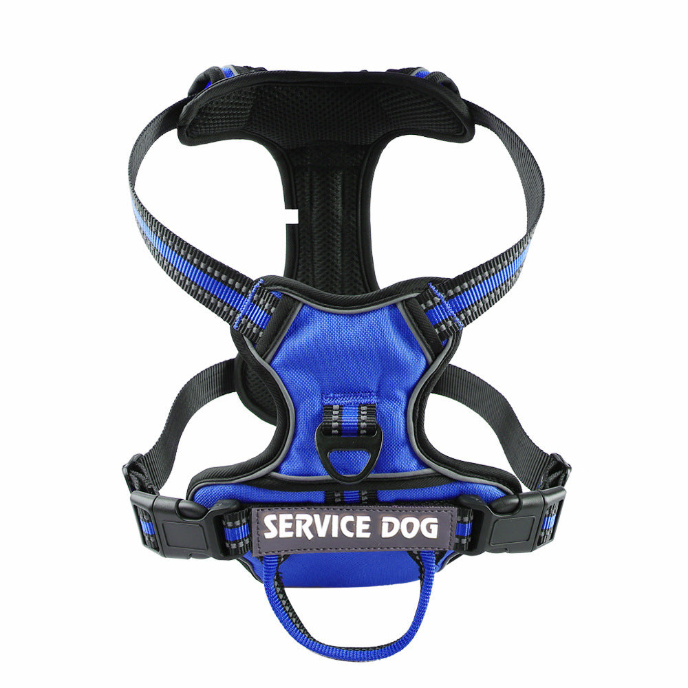 Harnais pour chien personnalisé