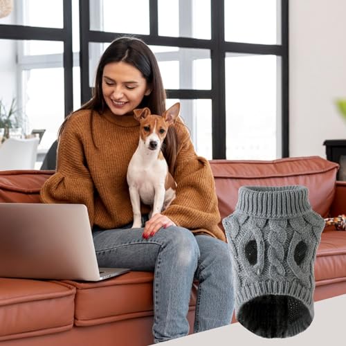 Pull "CozyDog"