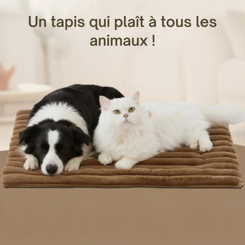 Tapis auto-chauffant ThermoConfort pour chien et chat