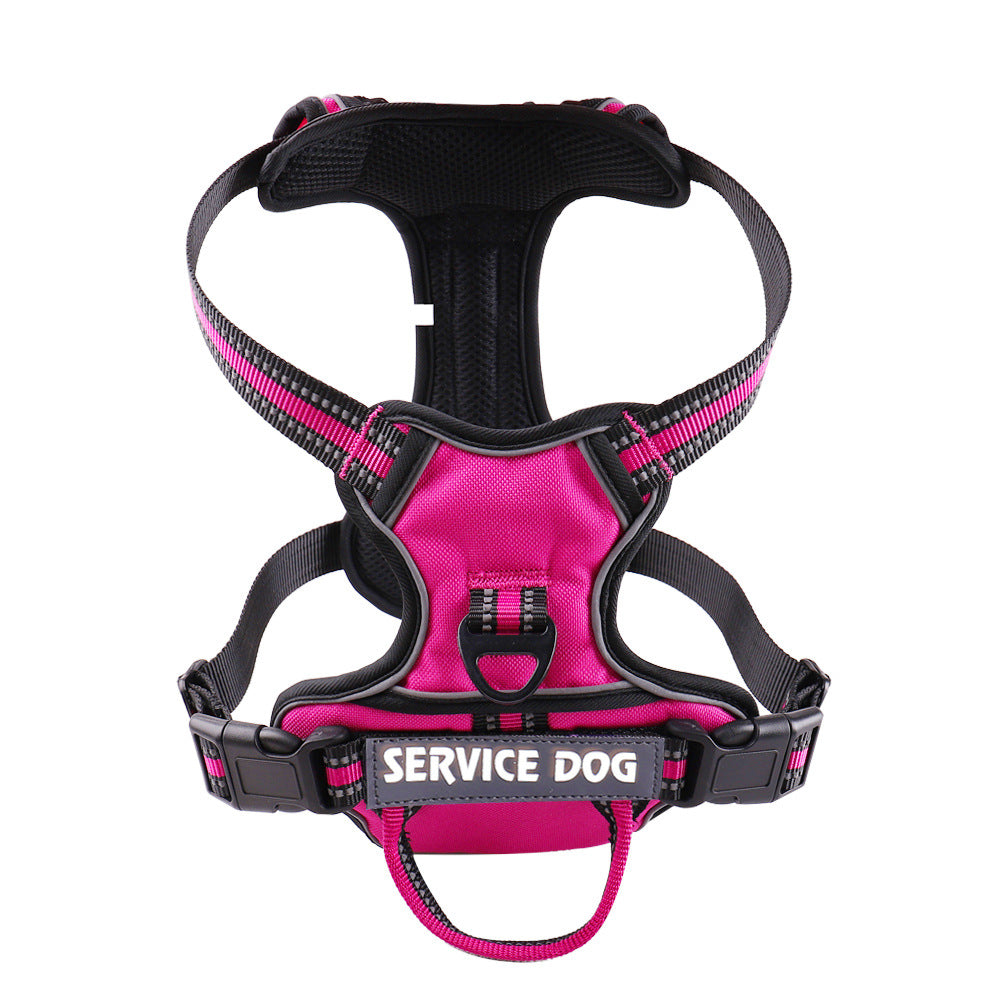 Harnais pour chien personnalisé
