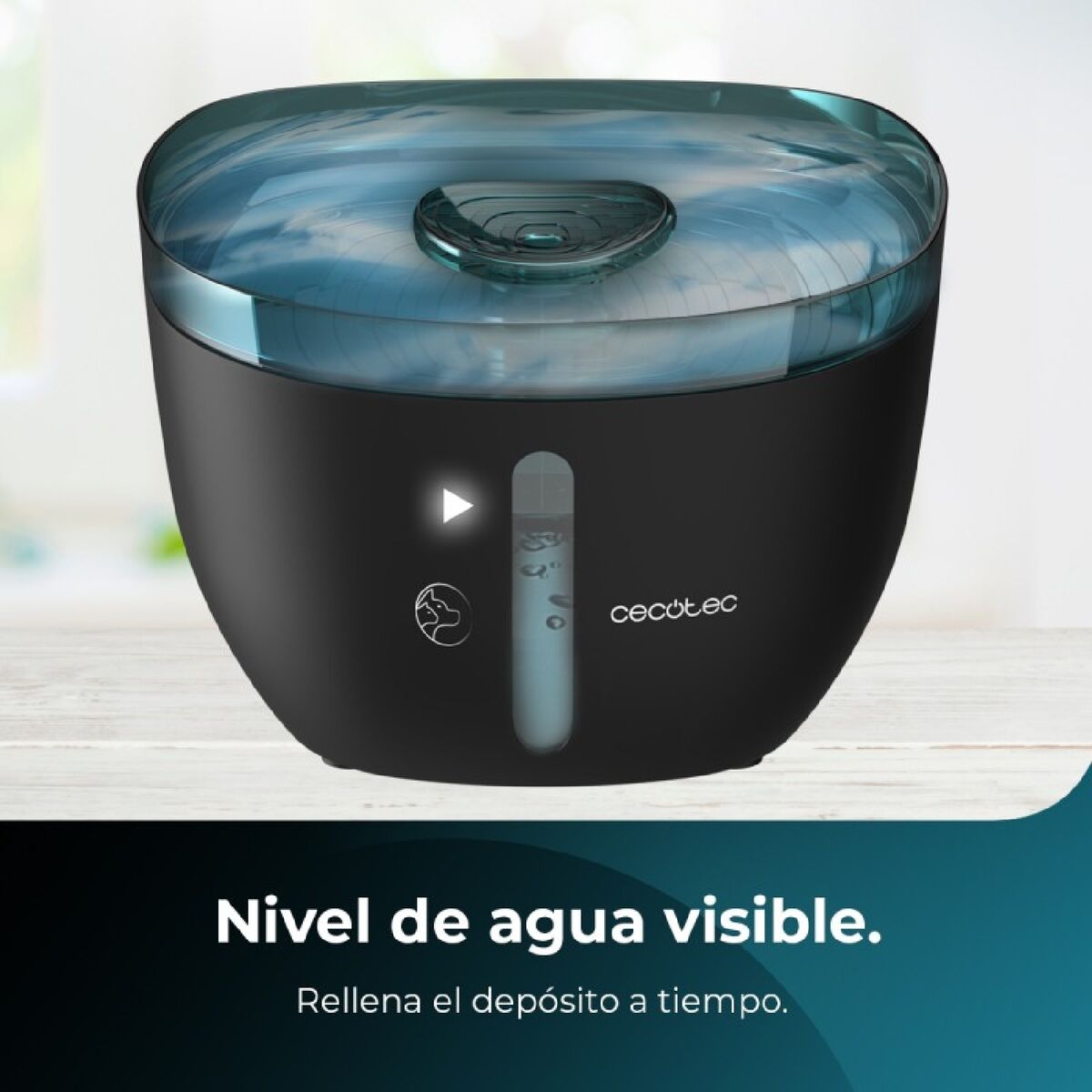 V7H419627E8554799E025E75CA6083941E8R7343386P3