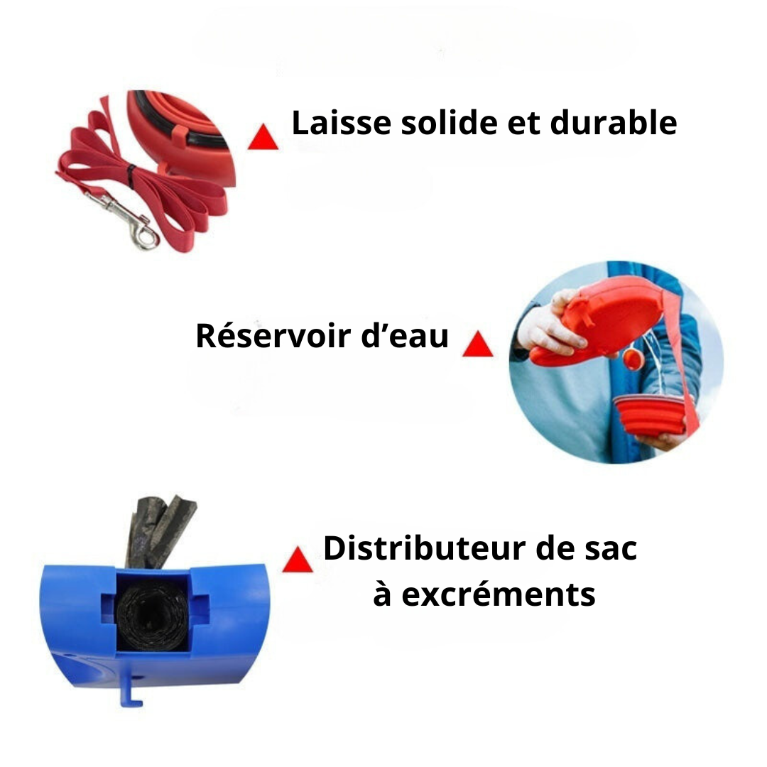 Laisse "Kira"  3 en 1