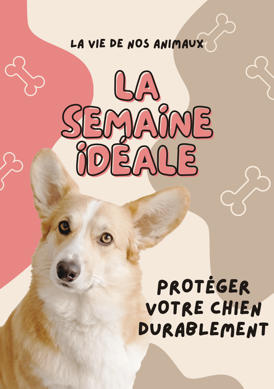 Livre numérique "La Semaine Idéale"