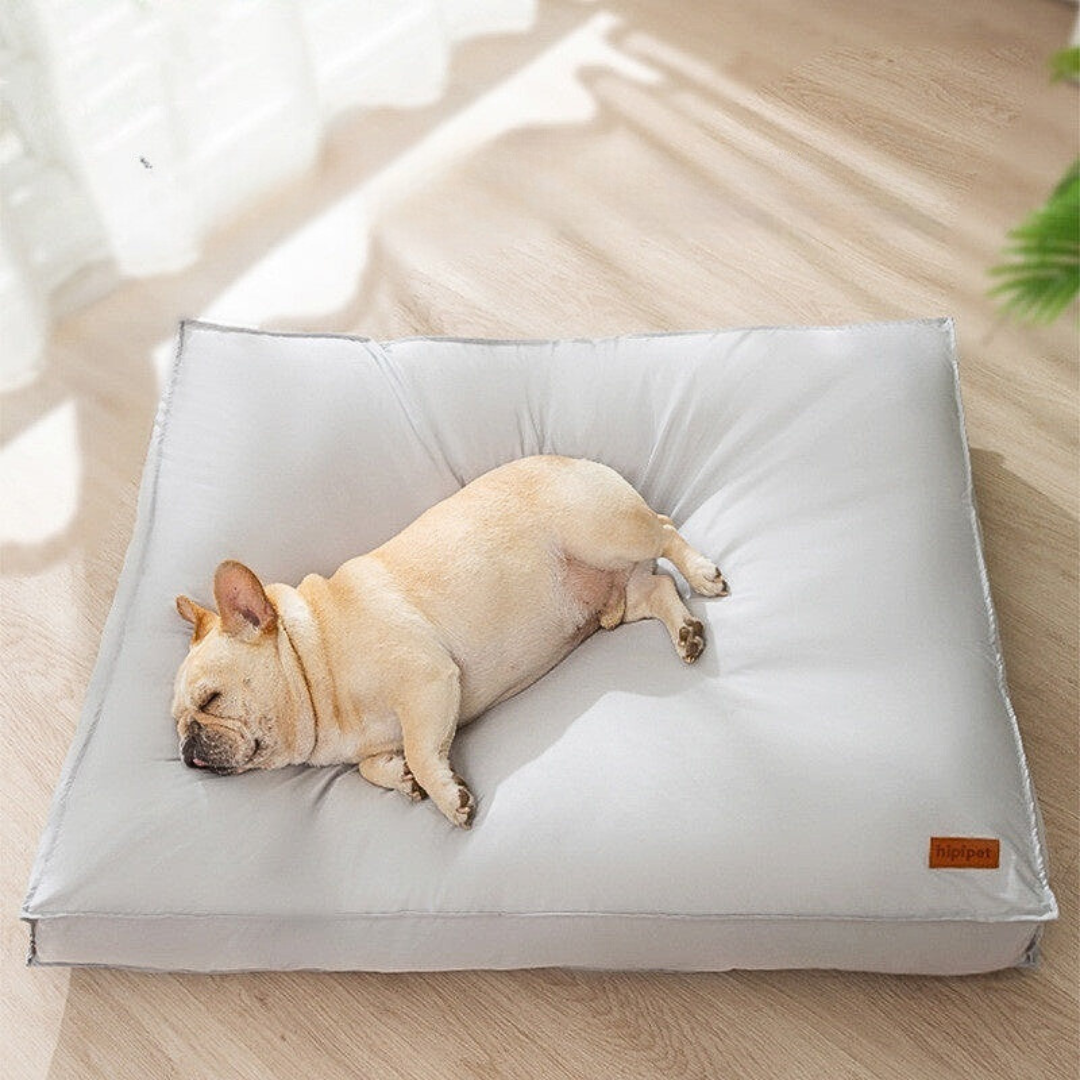 Coussin à mémoire de forme "Slowly"