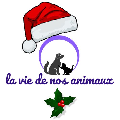 la vie de nos animaux