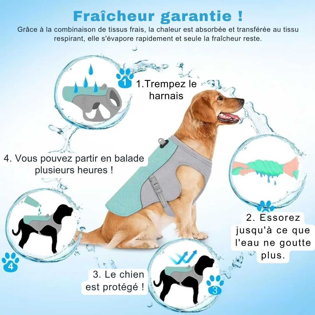 Harnais rafraîchissant "Freezer" pour chien