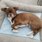 Coussin rafraîchissant "Cold" pour chien et chat